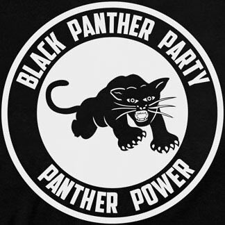 Who are The Black Panthers?